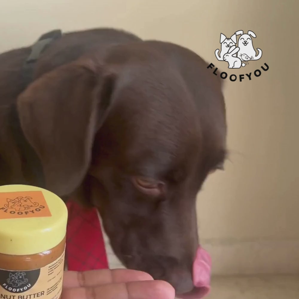 FloofYou Unsweetened & Natural Peanut Butter Dog Treats Dog Treats + Others FloofYou