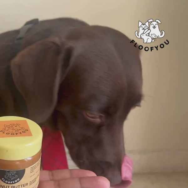 FloofYou Unsweetened & Natural Peanut Butter Dog Treats