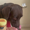 FloofYou Unsweetened & Natural Peanut Butter Dog Treats Dog Treats + Others FloofYou