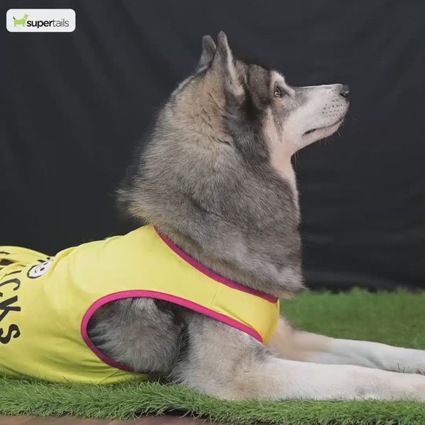 Pawgypets Festive Shirt for Dogs and Cats (Pista Green)