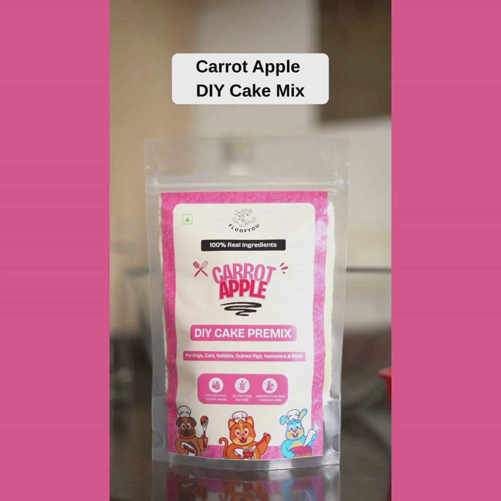 Floofyou Home Made Carrot Apple Birthday Cake Mix for Dogs and Cats Dog Treats + Others FloofYou