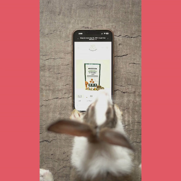 FloofYou Apple Loofah Chews Small Animal Treats