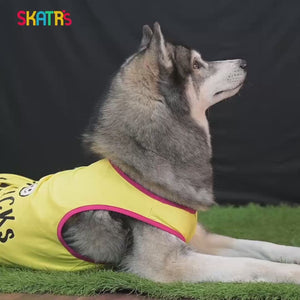 Skatrs Bitches Love Me Printed Summer Cotton T Shirt for Dogs and Cats (Blue)