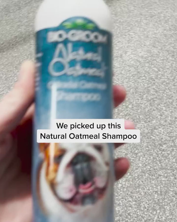 Bio Groom Natural Oatmeal Soothing Shampoo for Dogs and Cats