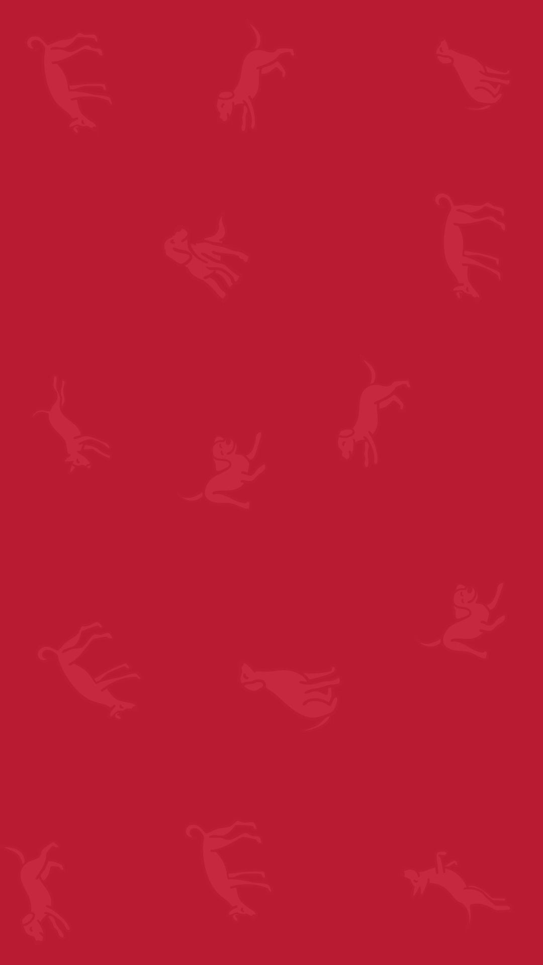 Chip Chops Chicken and Codfish Rolls Dog Treats