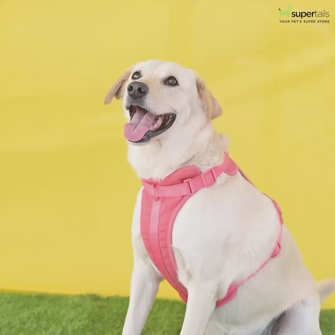 Pets Like Padded Double Side Harness for Dogs (Neon Yellow)