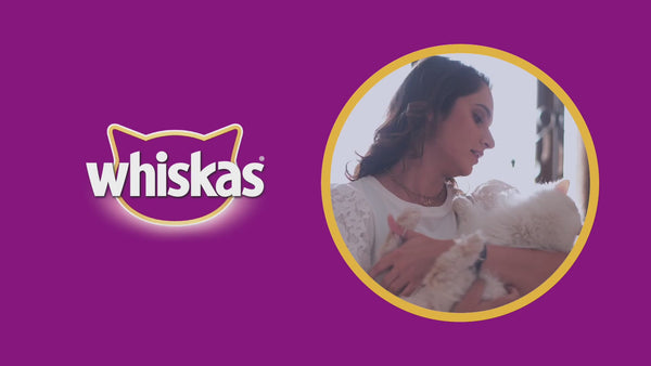 Whiskas Chicken Flavour Cat (Adult 1+) Dry Food