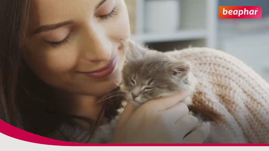 Beaphar Lactol Milk Replacement Powder for Kitten Cats-Health & Wellness Beaphar