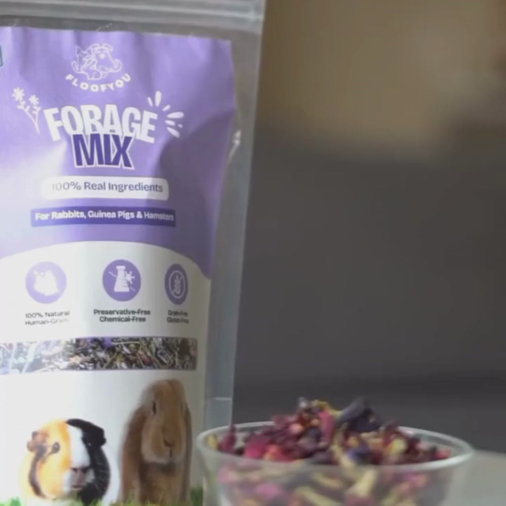 FloofYou Fibre Rich Forage Mix Rabbit Treats Rabbits FloofYou