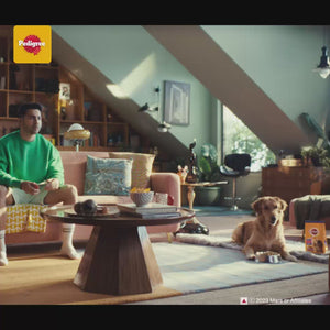 Pedigree Adult Starter Kit