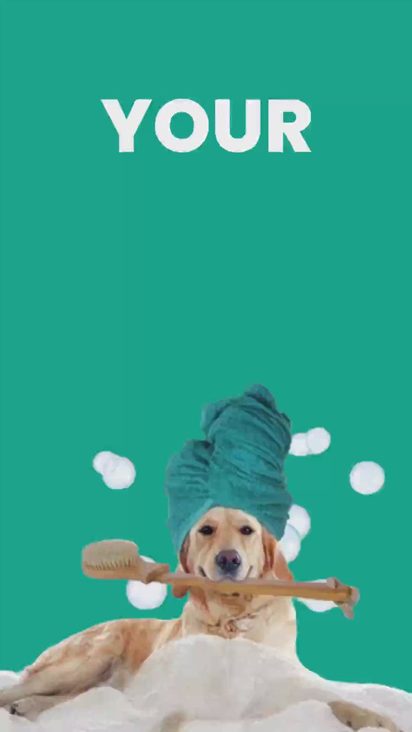 Bark Out Loud No Mess Waterless Shampoo for Dogs