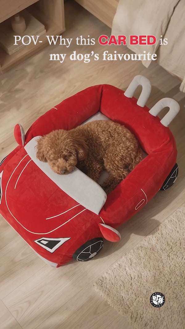 Pets Way Furrari Car Bed for Small Dogs (Neon)