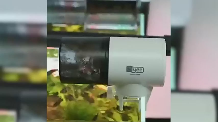 QPets Automatic Aquarium Feeder for Fish Fish Q pets