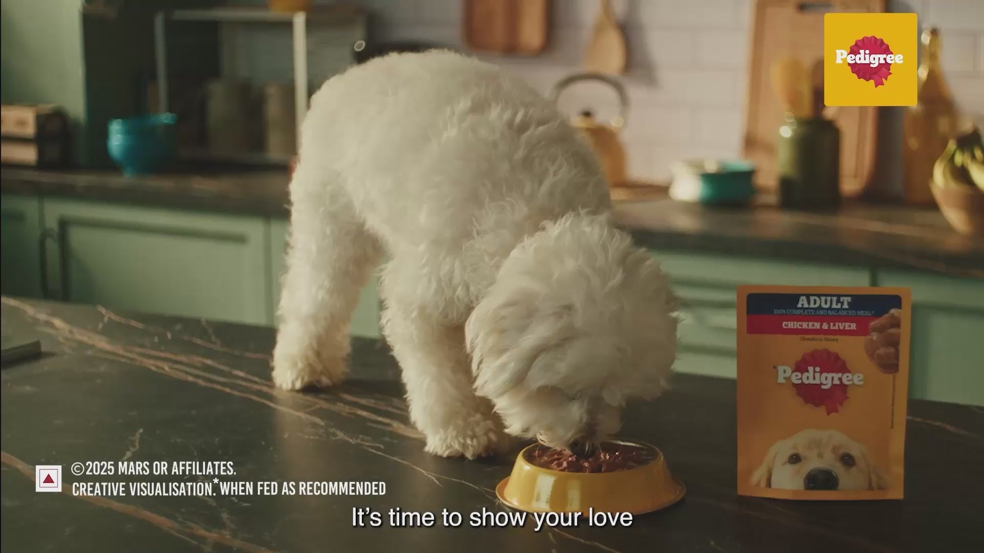 Pedigree Chicken & Liver Chunks in Gravy Puppy Wet Dog Food Dogs-Wet Food Pedigree
