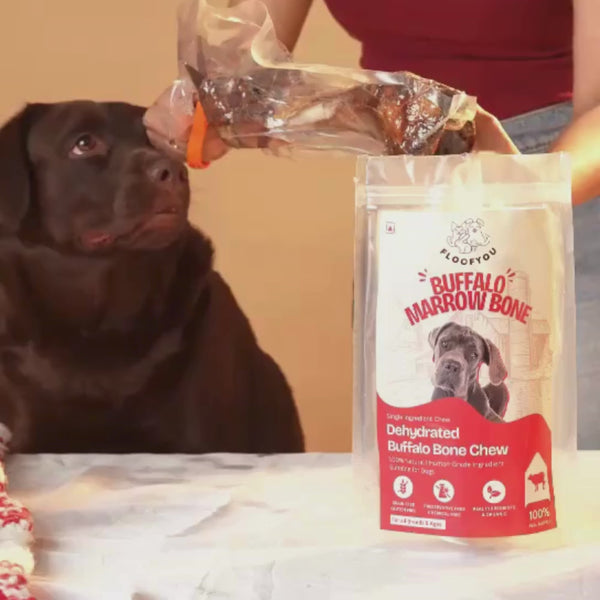 FloofYou Air Dried Buffalo Marrow Bone Chew Dog Treats