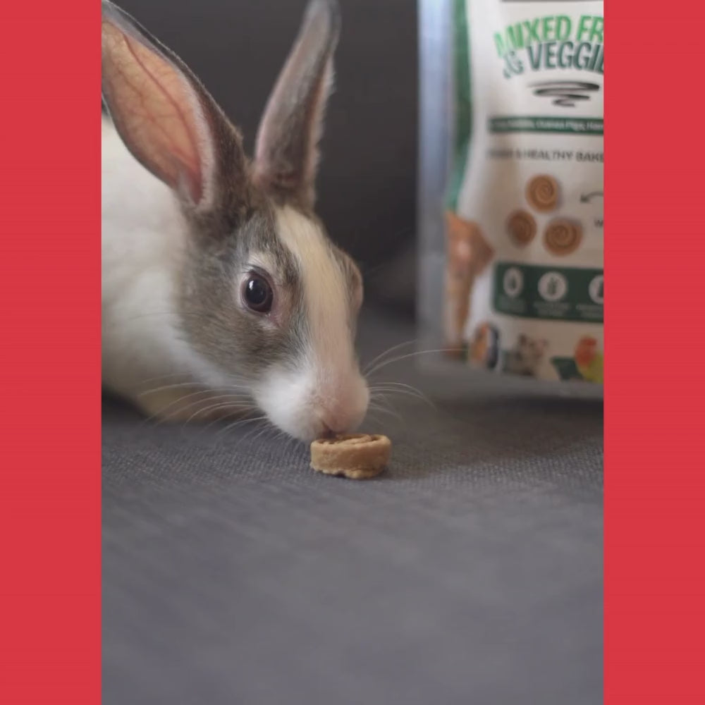 FloofYou Oven Baked Banana Apple Small Animal Treats Rabbits FloofYou