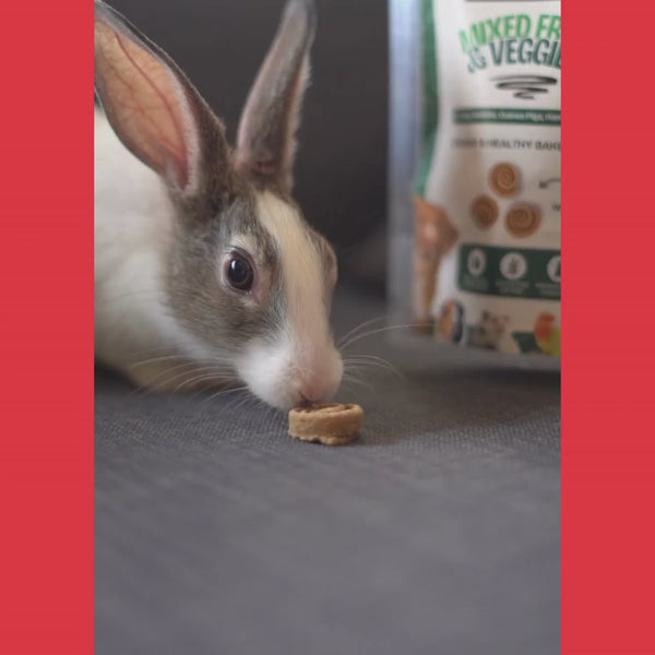 FloofYou Oven Baked Banana Apple Small Animal Treats