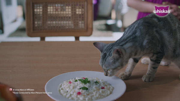 Whiskas Tuna in Jelly, Chicken and Salmon in Gravy Meal Adult Cat Wet Food