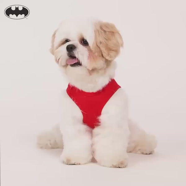 Warner Bros Batman T Shirt for Dogs and Cats (Red)
