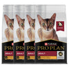 Pro Plan Chicken Flavoured Adult Cat Dry Food Cats- Dry food Pro Plan 4x1.2kg (4.8kg)