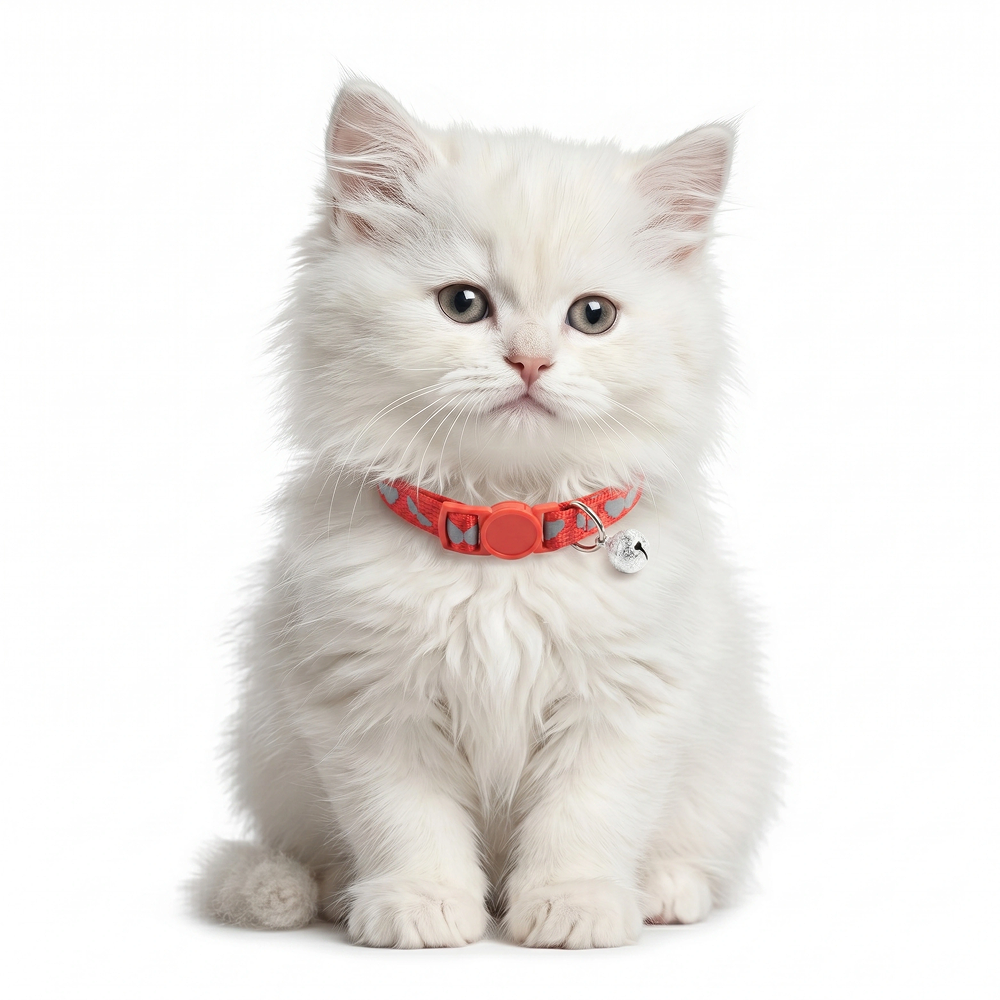 Basil Printed Collar for Cats & Puppies (Red) Both-Collar, Leashes, harnesses Basil