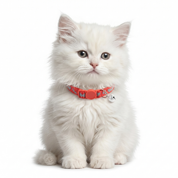 Basil Printed Collar for Cats & Puppies (Red)
