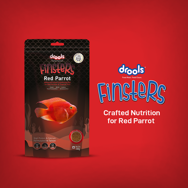 Drools Finsters Red Parrot Fish Food