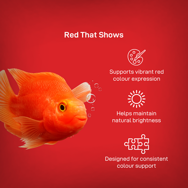 Drools Finsters Red Parrot Fish Food