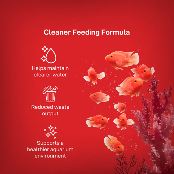 Drools Finsters Red Parrot Fish Food