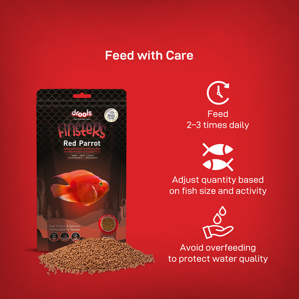 Drools Finsters Red Parrot Fish Food