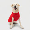 Skatrs Red Sweater For Dogs and Cats Both-Clothing & Accessories Skatrs