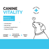 Goofy Tails Chicken Flavoured Canine Vitality + Wellness & Immunity Booster Supplement for Dogs Dogs-Health & Wellness Goofy Tails