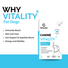 Goofy Tails Chicken Flavoured Canine Vitality + Wellness & Immunity Booster Supplement for Dogs Dogs-Health & Wellness Goofy Tails