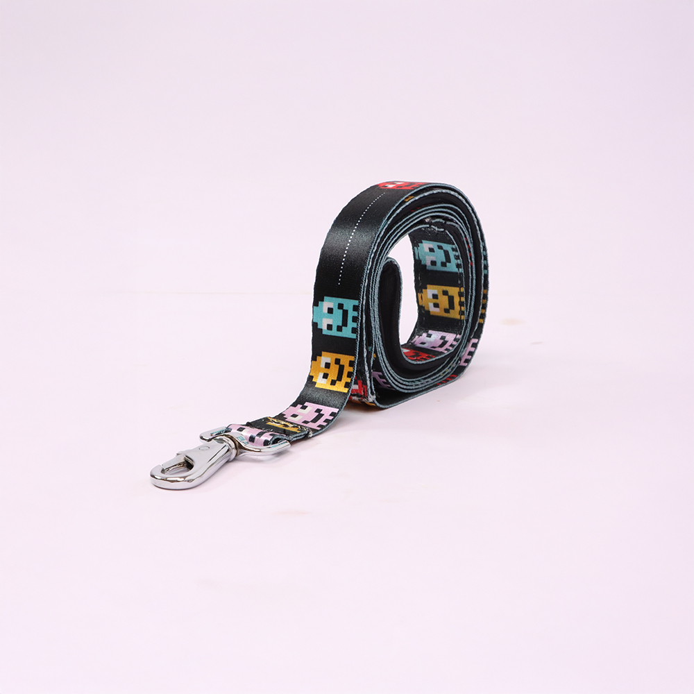 Skatrs Arcade Mood Leash for Dogs Both-Collar, Leashes, harnesses Skatrs M:14-18 in Neck