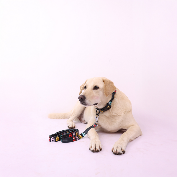 Skatrs Arcade Mood Leash for Dogs and Cats