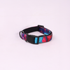 Skatrs Liquid Art Collar for Dogs and Cats Both-Collar, Leashes, harnesses Skatrs M:14-18 in Neck
