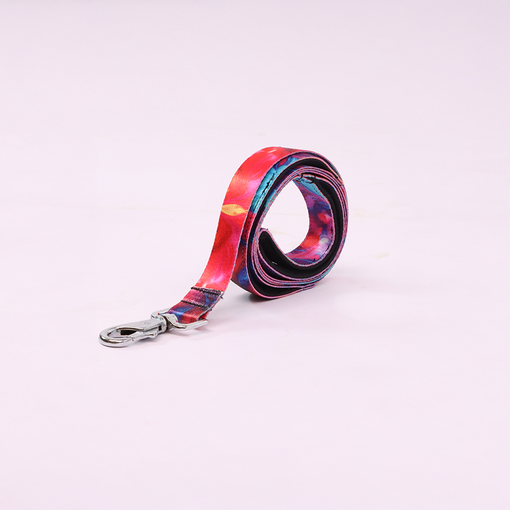 Skatrs Liquid Art Leash for Dogs and Cats Both-Collar, Leashes, harnesses Skatrs M:14-18 in Neck