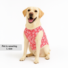 Skatrs Floral Grace Kurta for Dogs and Cats (Pink) Both-Clothing & Accessories Skatrs