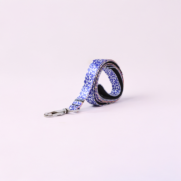 Skatrs Enigma Leash for Dogs and Cats
