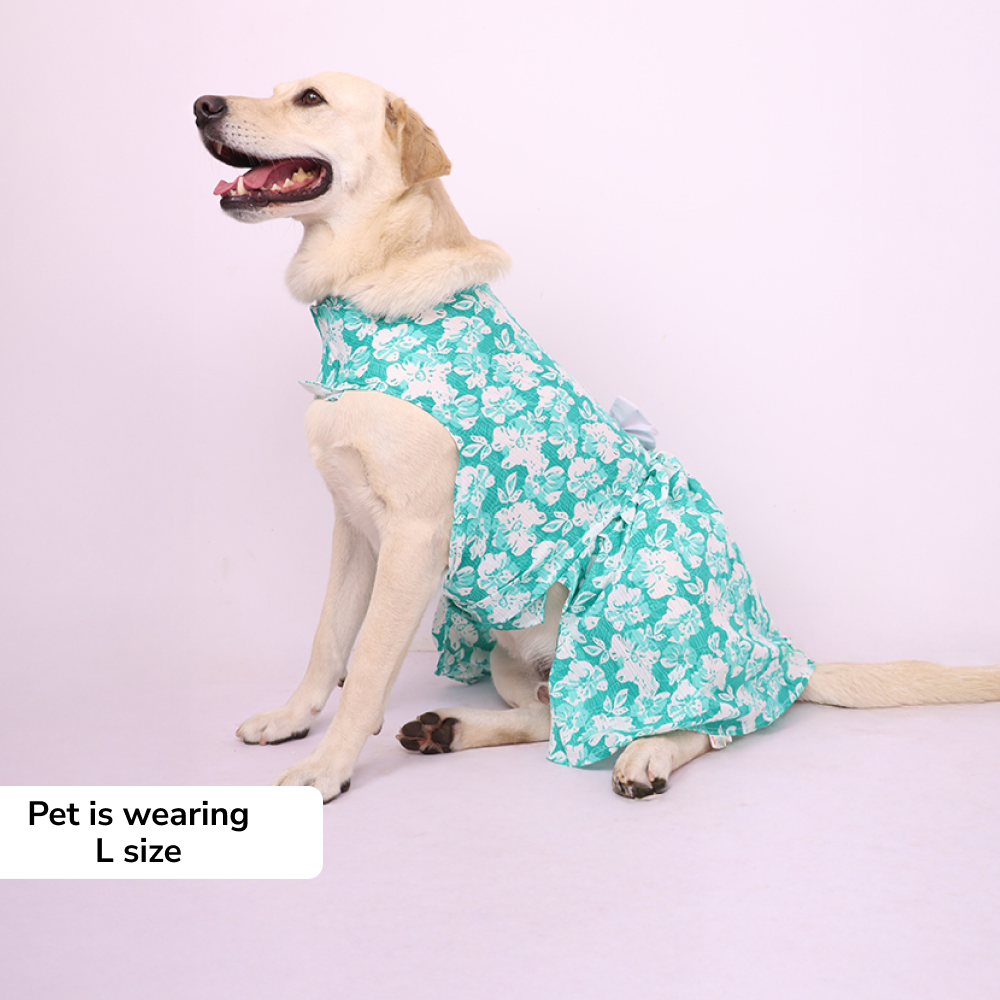 Skatrs Floral Grace Dress for Dogs and Cats (Blue) Both-Clothing & Accessories Skatrs