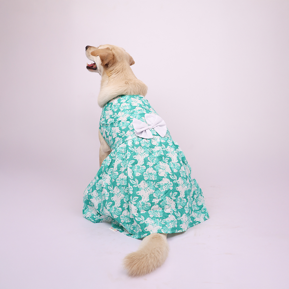 Skatrs Floral Grace Dress for Dogs and Cats (Blue) Both-Clothing & Accessories Skatrs