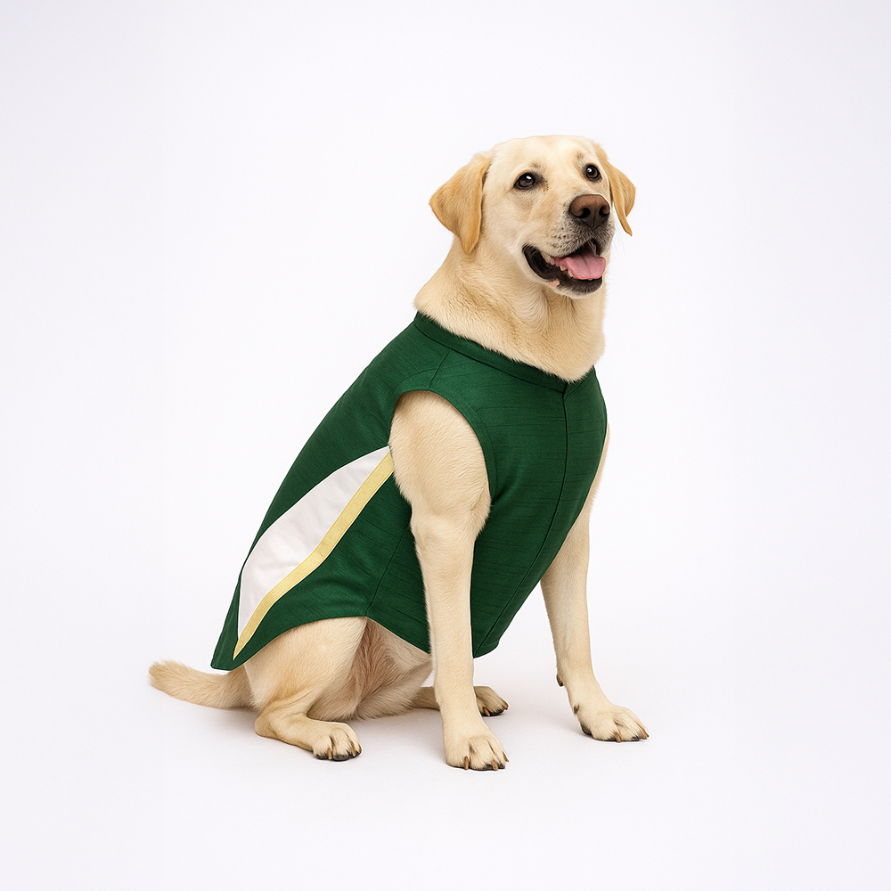 Skatrs Heritage Kurta for Dogs and Cats (Green) Both-Clothing & Accessories Skatrs