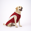 Skatrs Onam Kurta for Dogs and Cats (Maroon) Both-Clothing & Accessories Skatrs XS