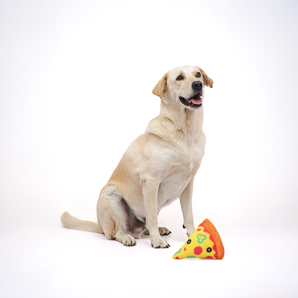 Skatrs Pizza Plush Toy for Dogs Both-Toys Skatrs