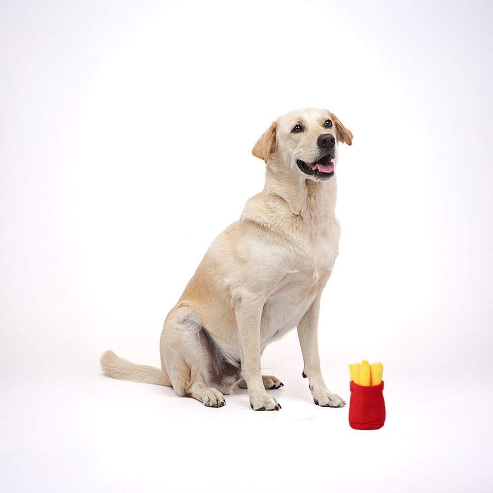 Skatrs French Fries Plush Toy for Dogs and Cats Both-Toys Skatrs