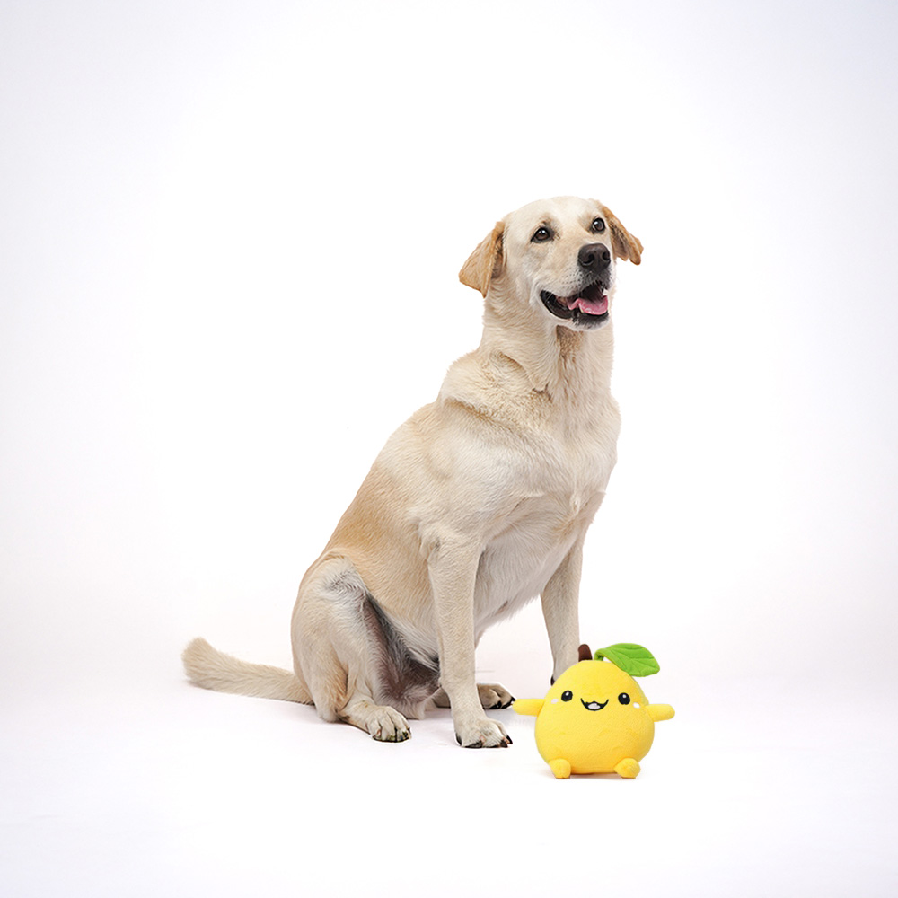 Skatrs Mango Plush Toy for Dogs Both-Toys Skatrs