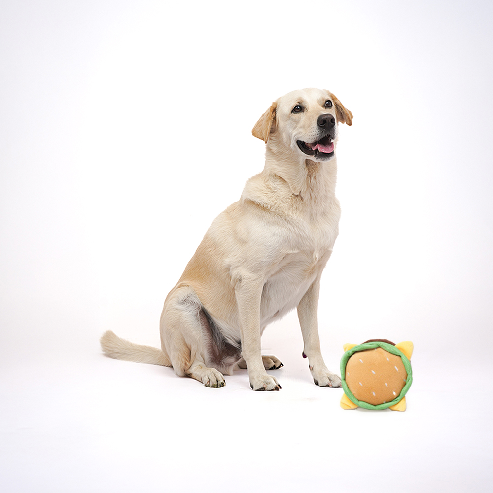 Skatrs Burger Plush Toy for Dogs and Cats Both-Toys Skatrs