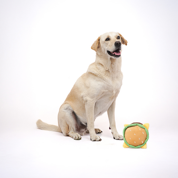 Skatrs Burger Plush Toy for Dogs