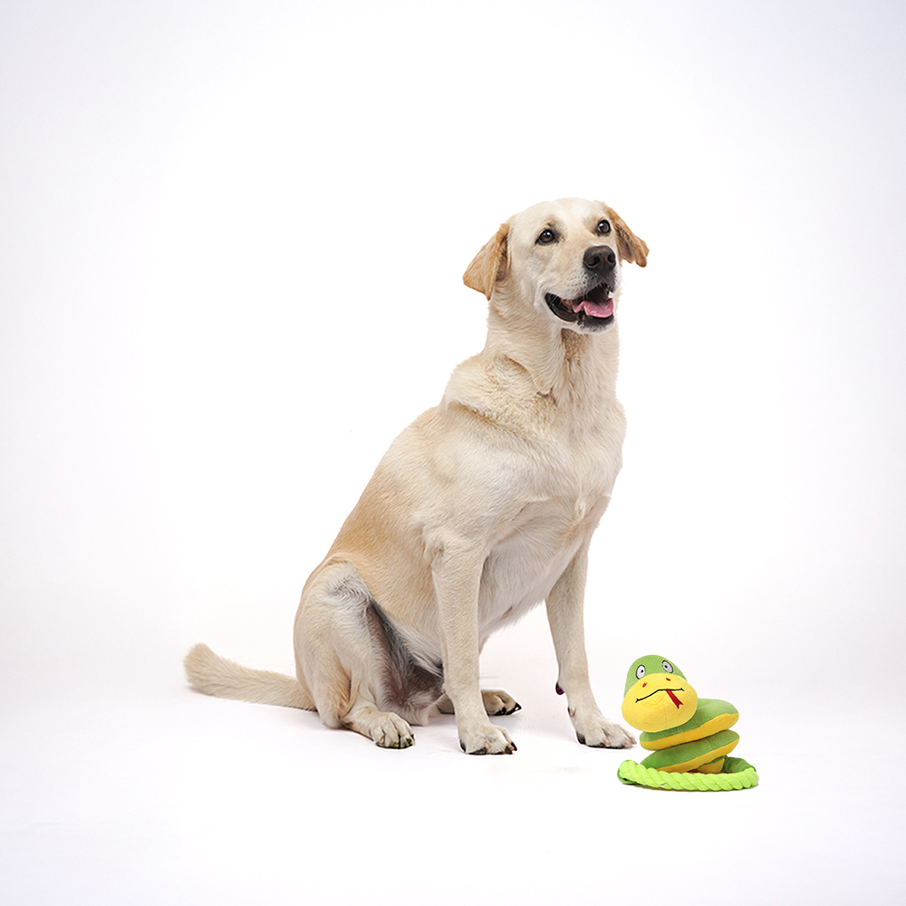 Skatrs Snake Plush Toy with Rope for Dogs and Cats Both-Toys Skatrs