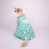 Skatrs Floral Grace Dress for Dogs and Cats (Blue) Both-Clothing & Accessories Skatrs